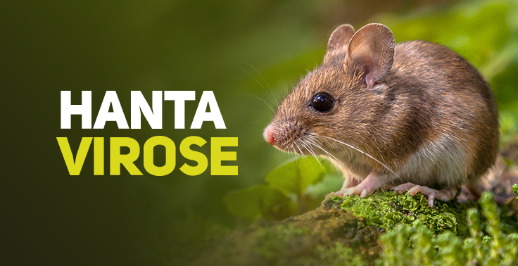 Hantavirose