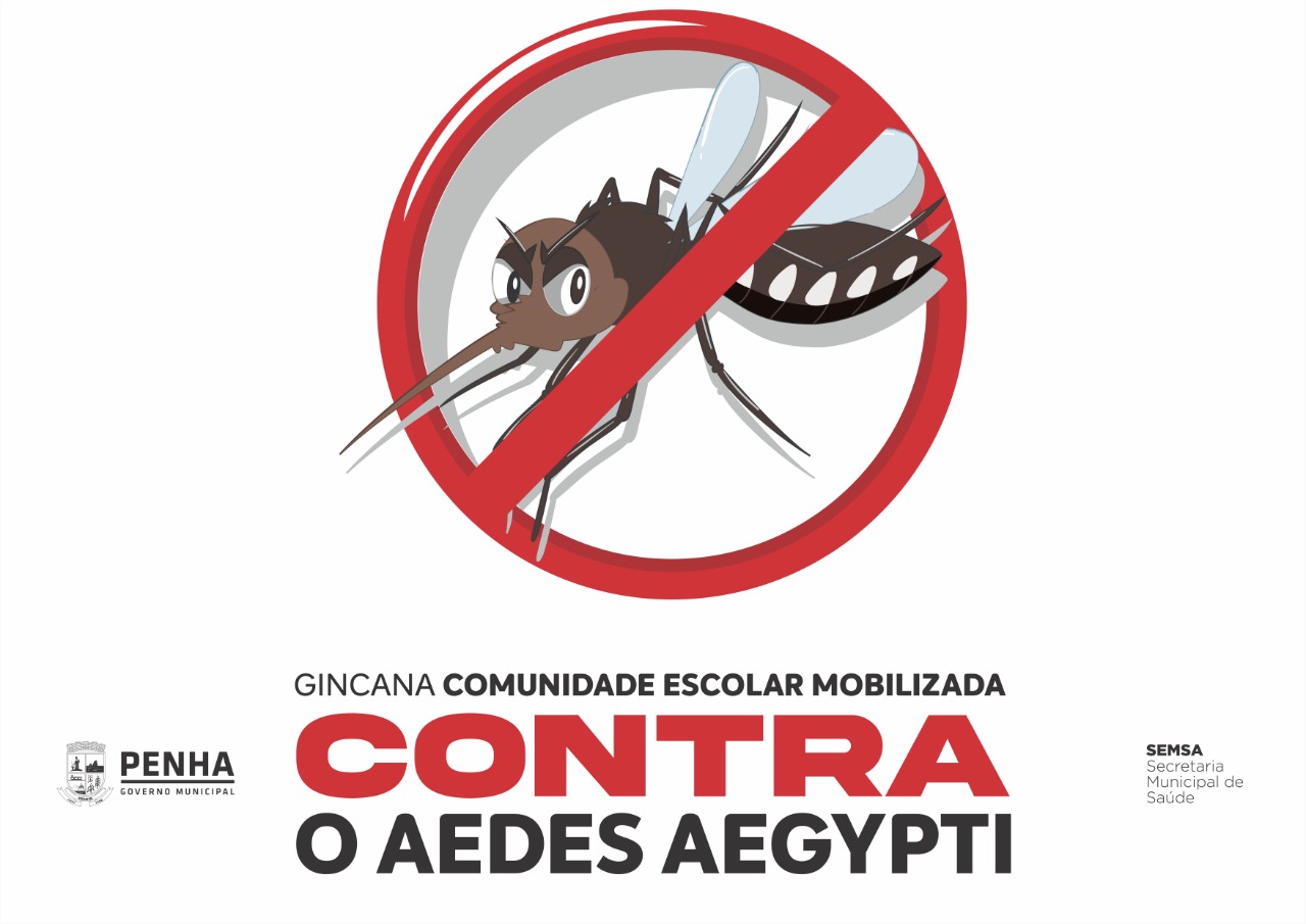 Mosquito Aedes