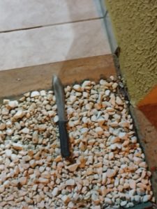 Roubo em Barra Velha