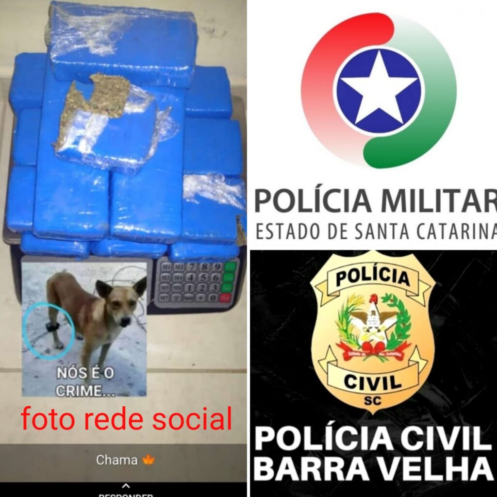Tele Entrega do Tráfico