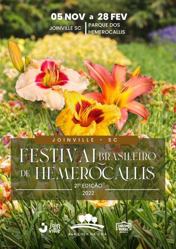 Hemerocallis - Beleza por um dia