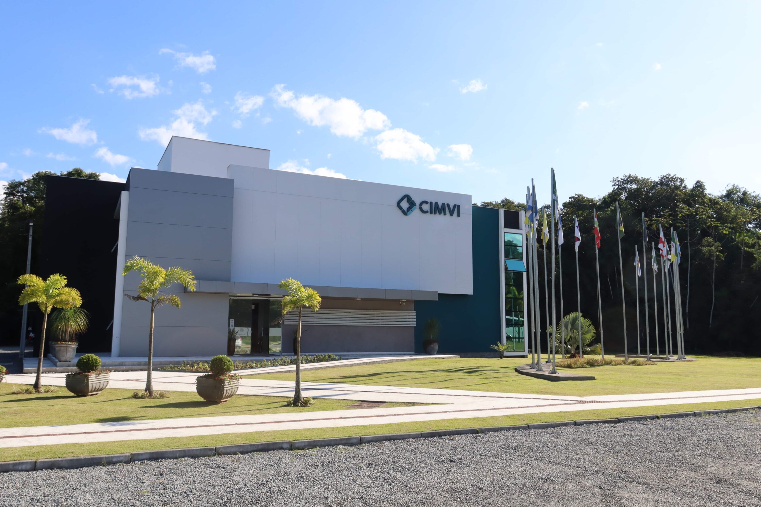 CIMVI