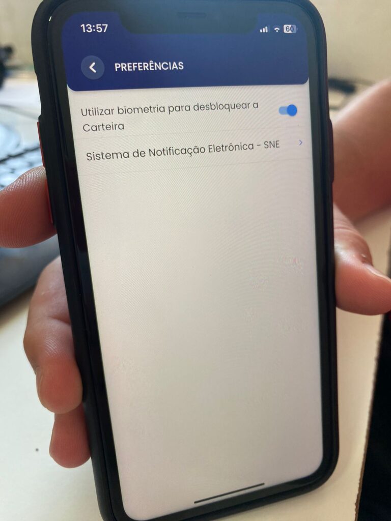DetranPen