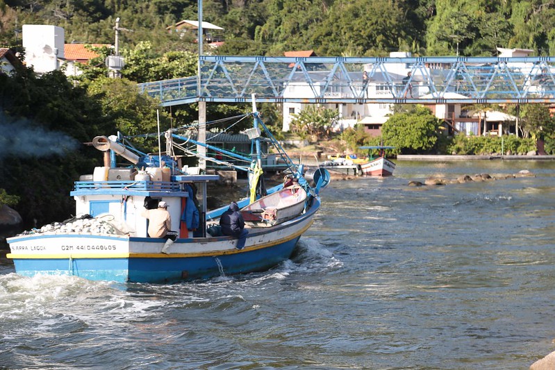 Pesca da Tainha