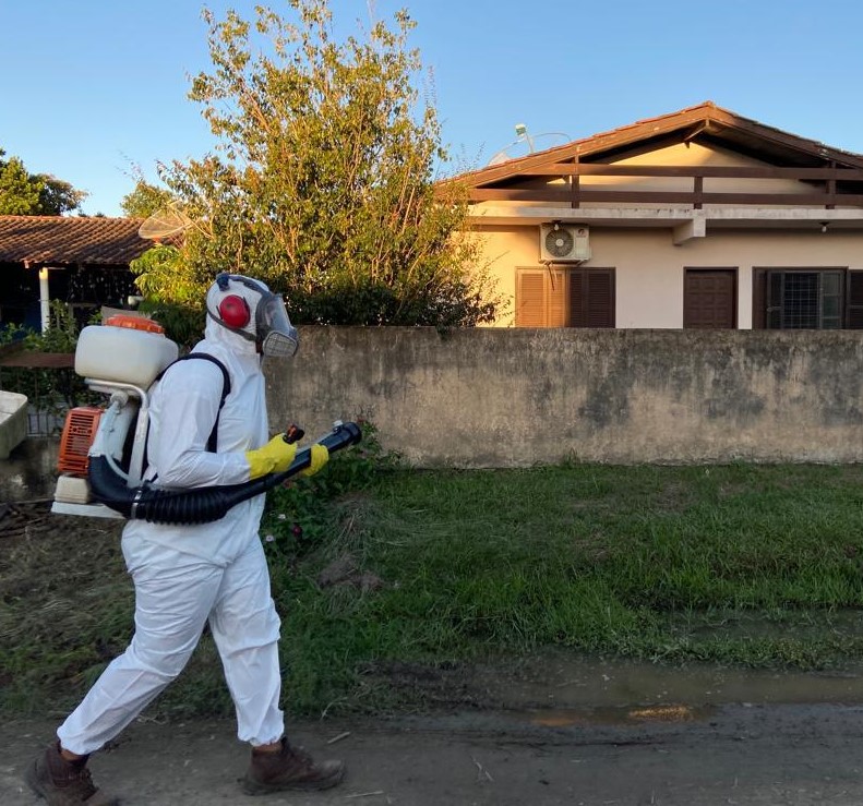 Combate Dengue