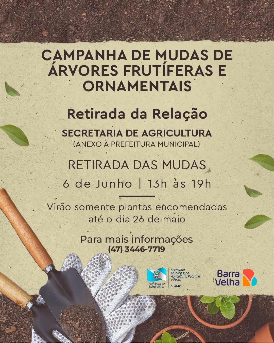 Campanha mudas de árvores