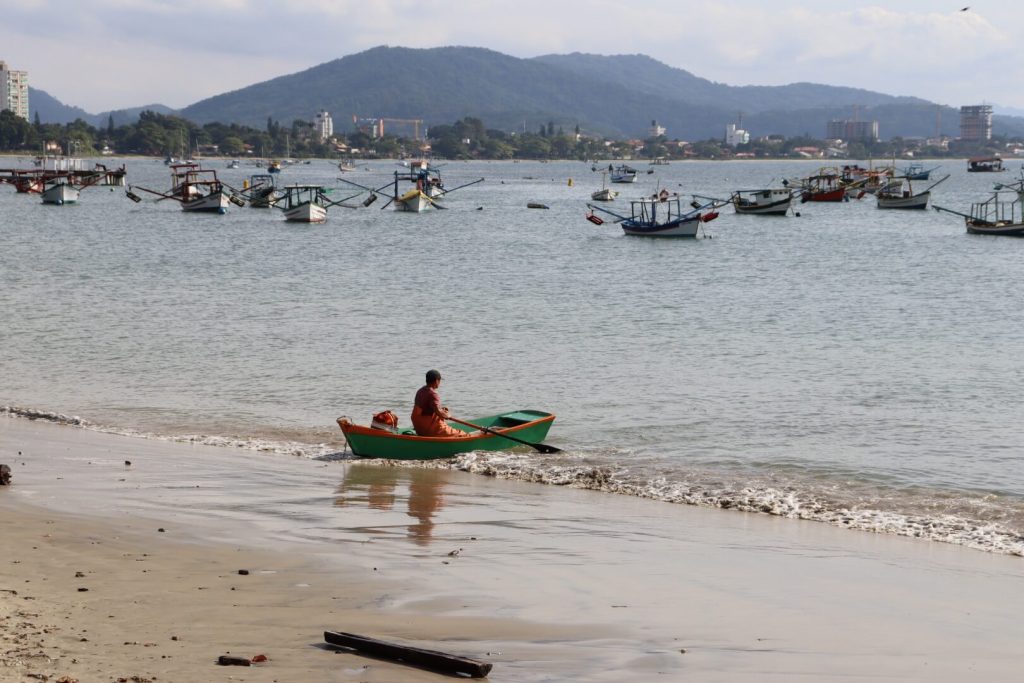 Temporada da pesca da tainha