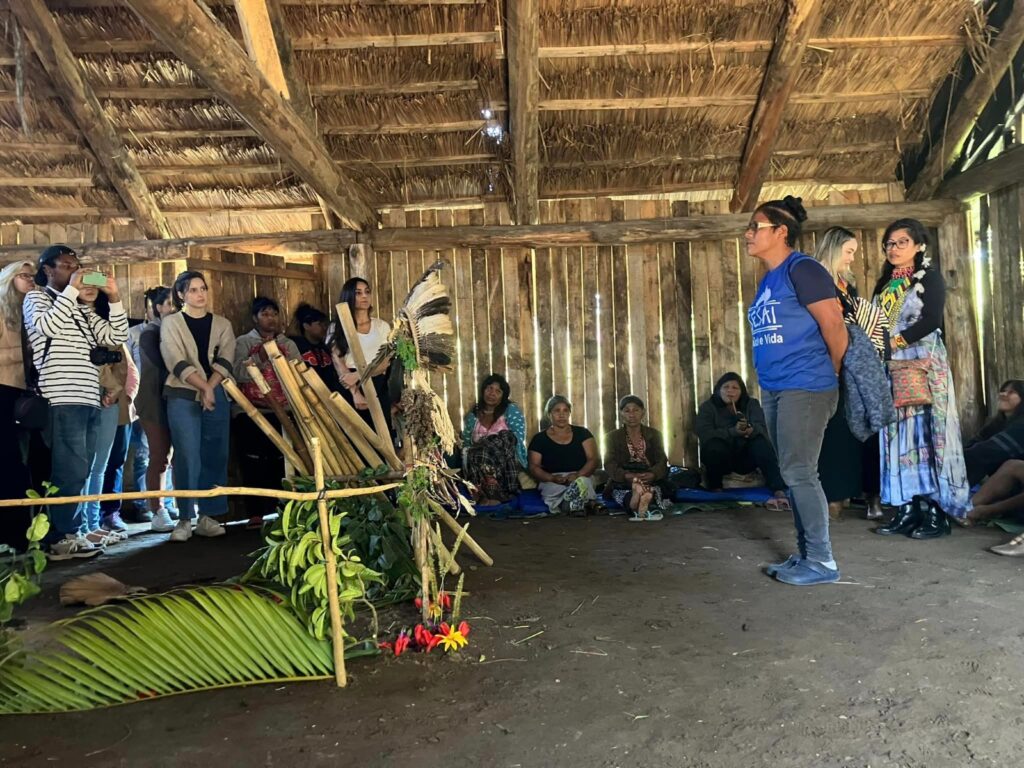 Indigenas Araquari