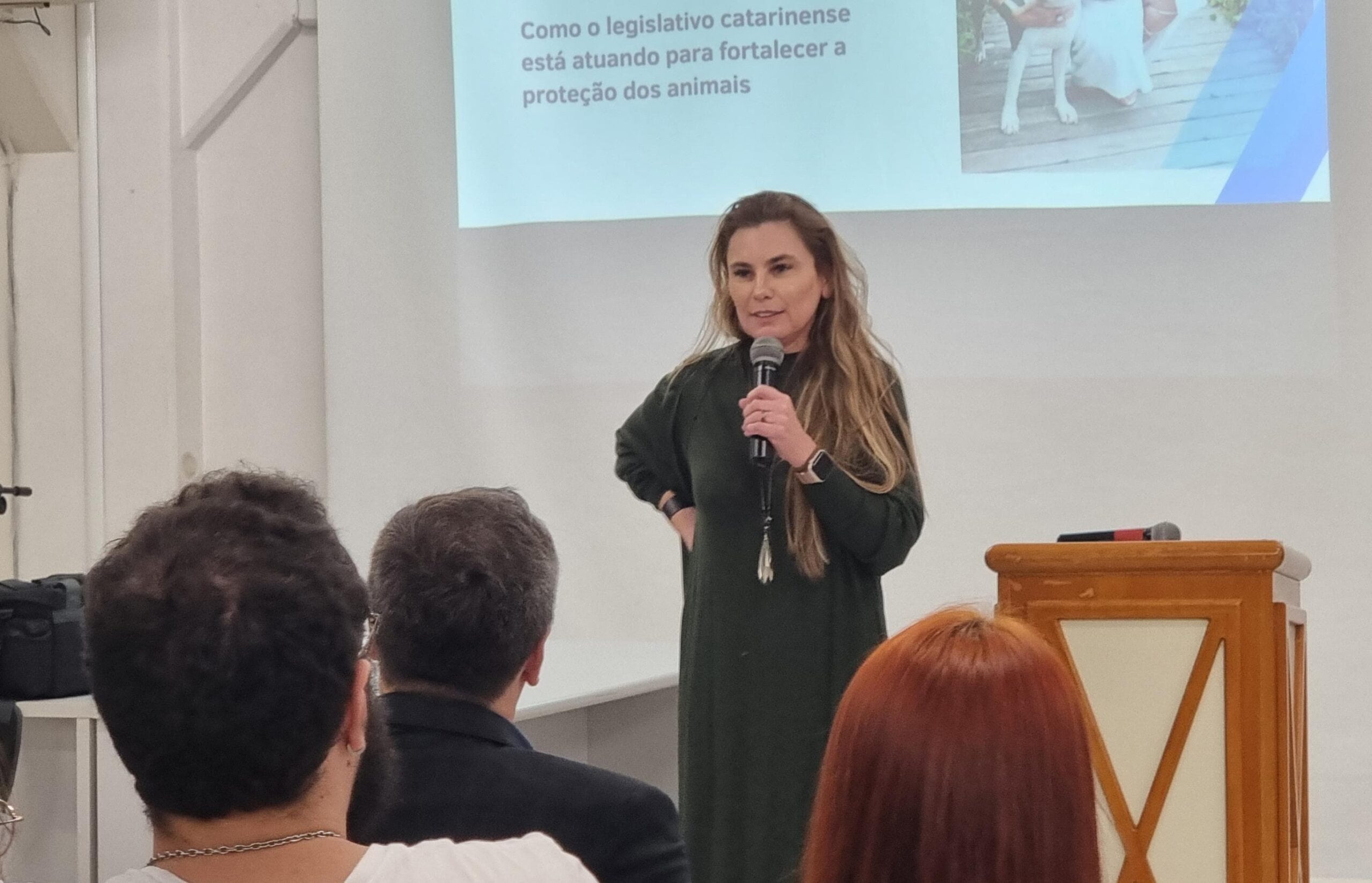 Paulinha Proteção Animal