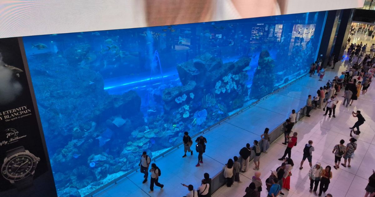 Empresa do Norte de SC garante estrutura de aquário gigante de R$ 100 milhões