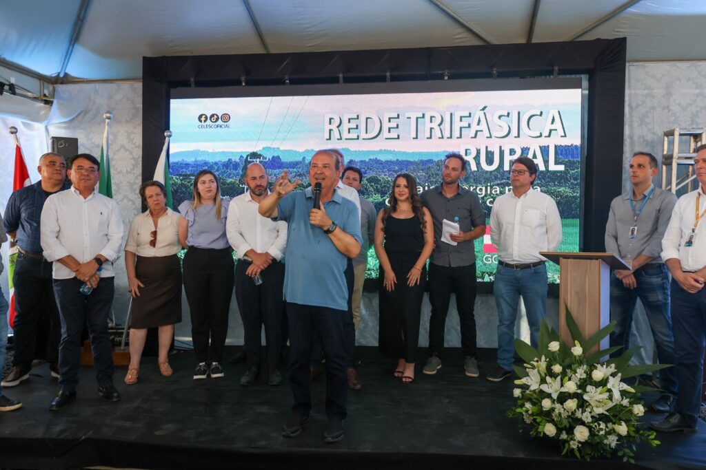 Retrospectiva 2024: Celesc realiza investimento recorde de R$ 2 bilhões para modernizar e expandir serviços