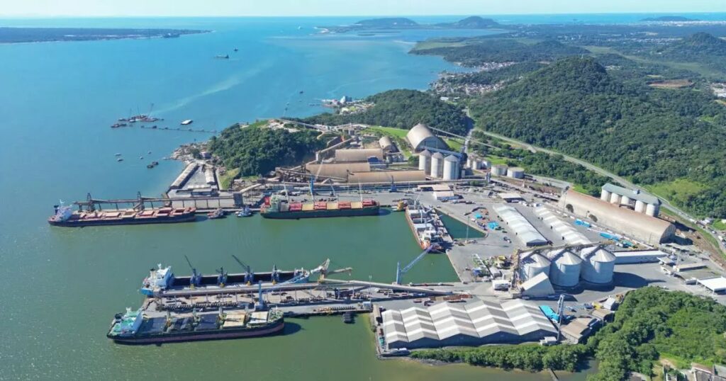 Conheça projeto ambiental inédito lançado pelo governo de SC para a Baía da Babitonga