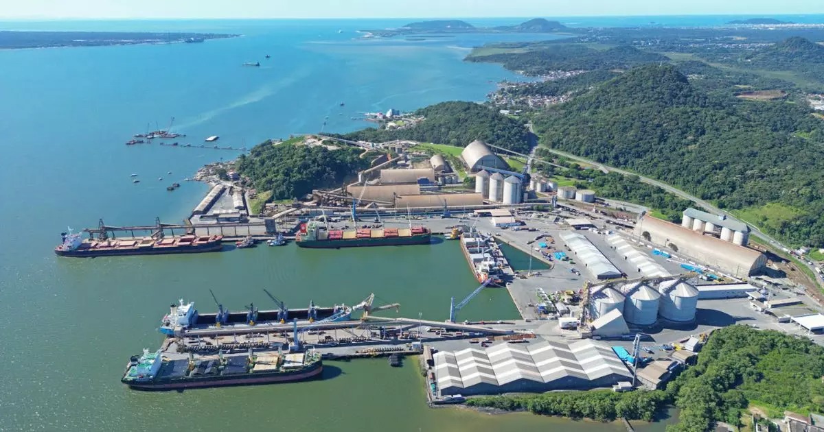Conheça projeto ambiental inédito lançado pelo governo de SC para a Baía da Babitonga