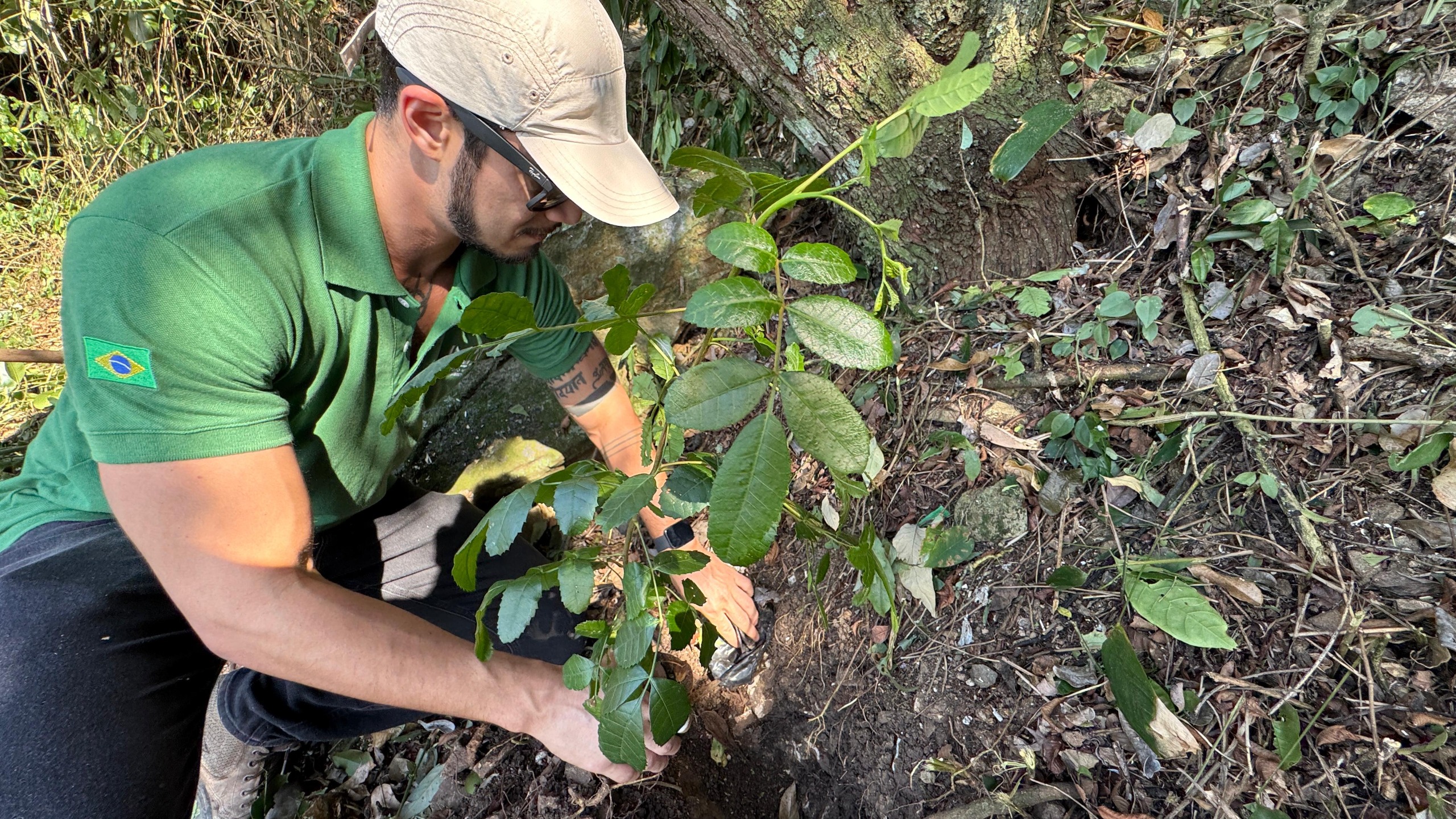 Prefeitura de Penha promove limpeza e plantio na trilha de acesso à Saudade e Quilombo