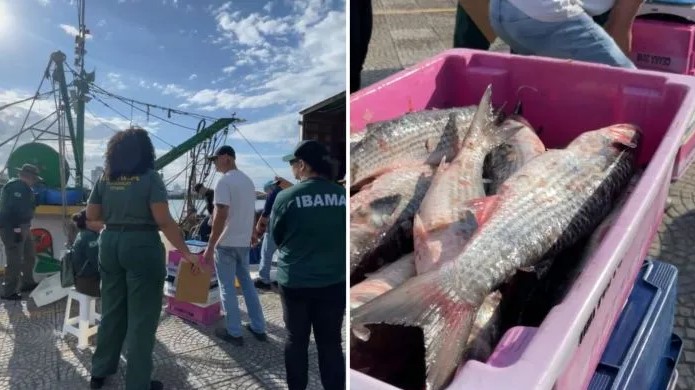 Ibama apreende barco com toneladas de tainha pescada ilegalmente