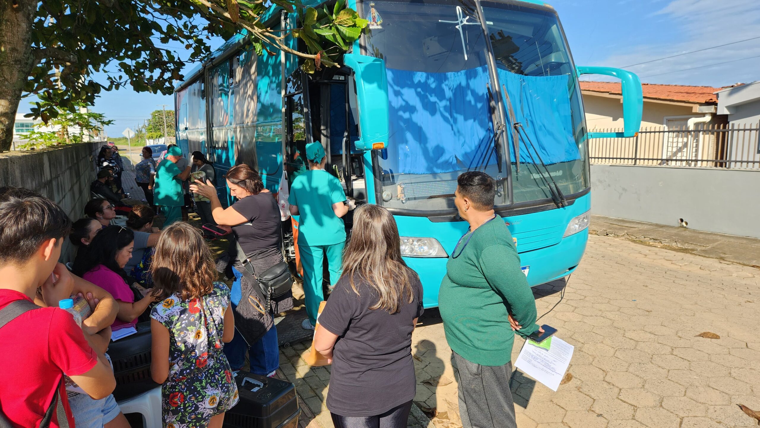 Fundema promove mutirão gratuito de castração para 200 animais