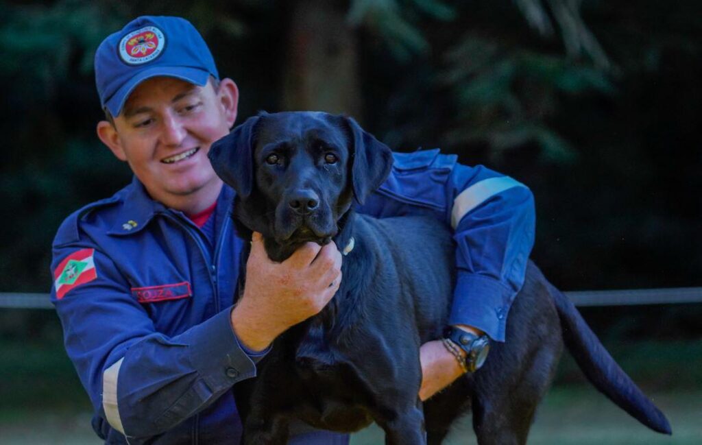 Cadela Zaara de busca e resgate do Corpo de Bombeiros Militar encerra trajetória de nove anos na corporação