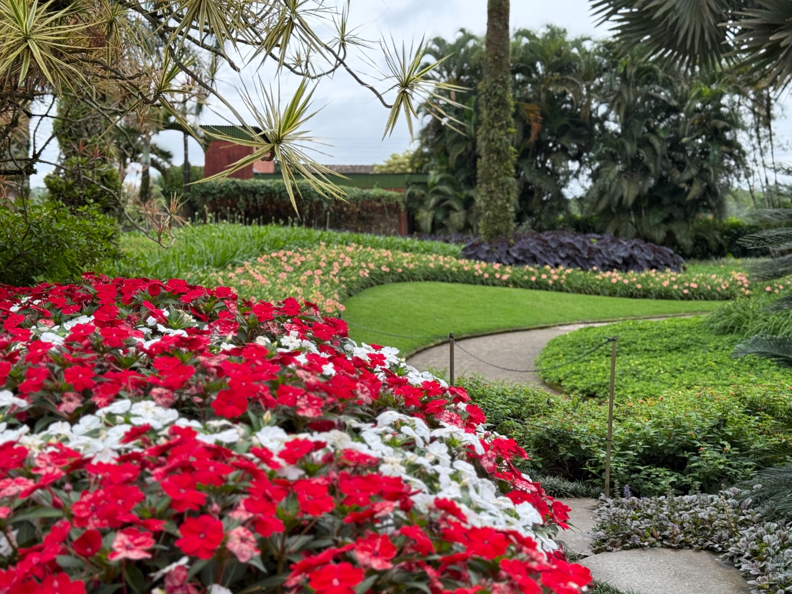 Festival da Primavera em pleno florescer anuncia atrações especiais para novembro