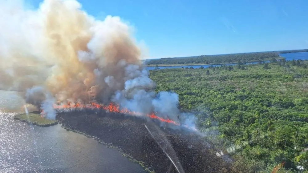 Incêndio de grandes proporções atinge parque ao lado do mar em São Francisco do Sul