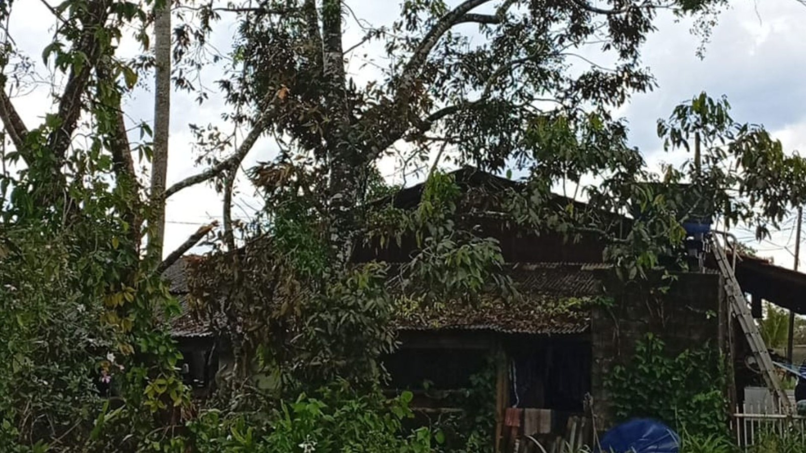 Defesa Civil de Araquari registra cerca de 30 ocorrências devido à tempestade