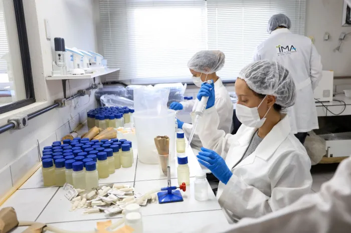 IMA divulga relatório de balneabilidade referente à semana de 26 a 30 de janeiro