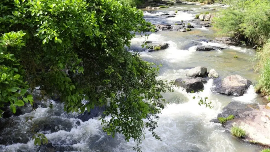 Jovem morre afogado na frente da família durante diversão no Rio Itajaí-Açu em Indaial