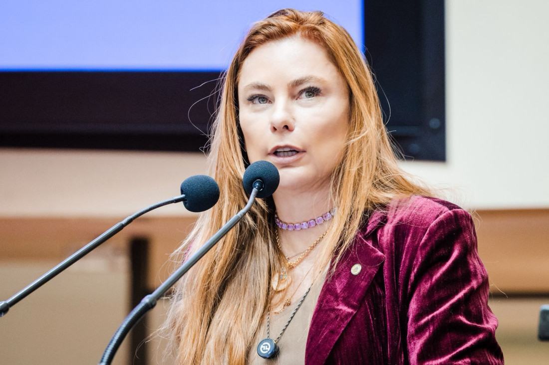 Deputada Paulinha propõe Comissão Mista para avaliar todos os PLs de proteção à mulher e combate ao feminicídio em Santa Catarina