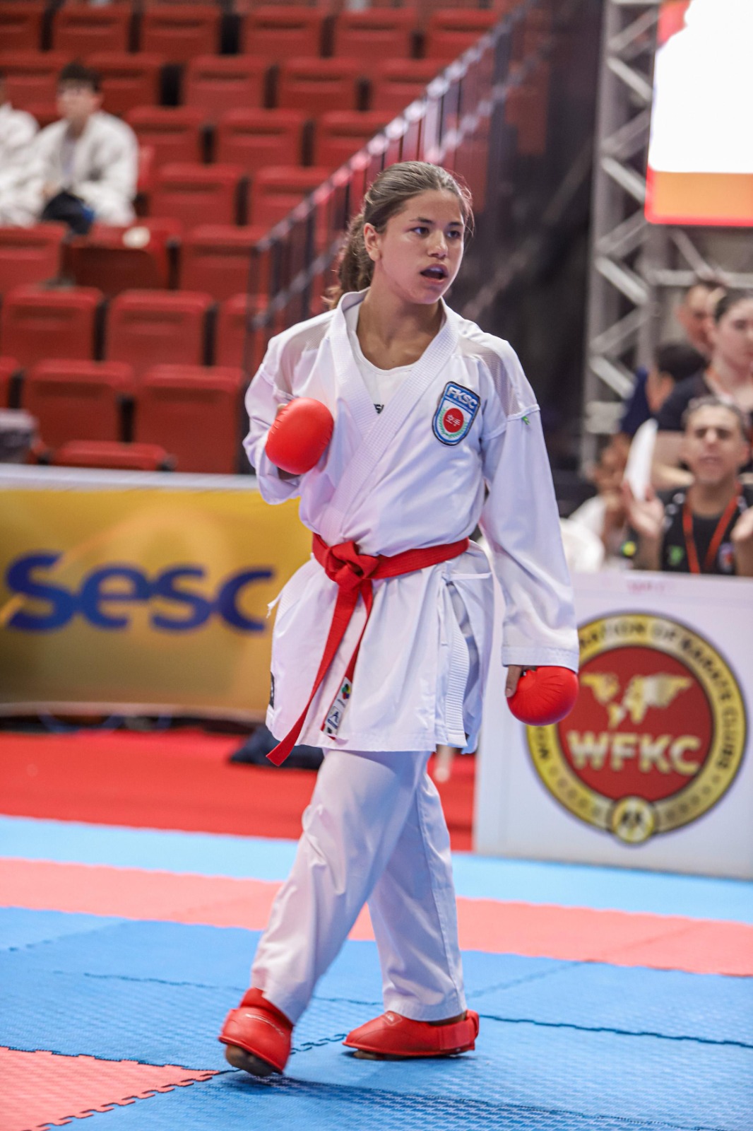 Penha vai sediar 1ª etapa do Campeonato Estadual de Karatê