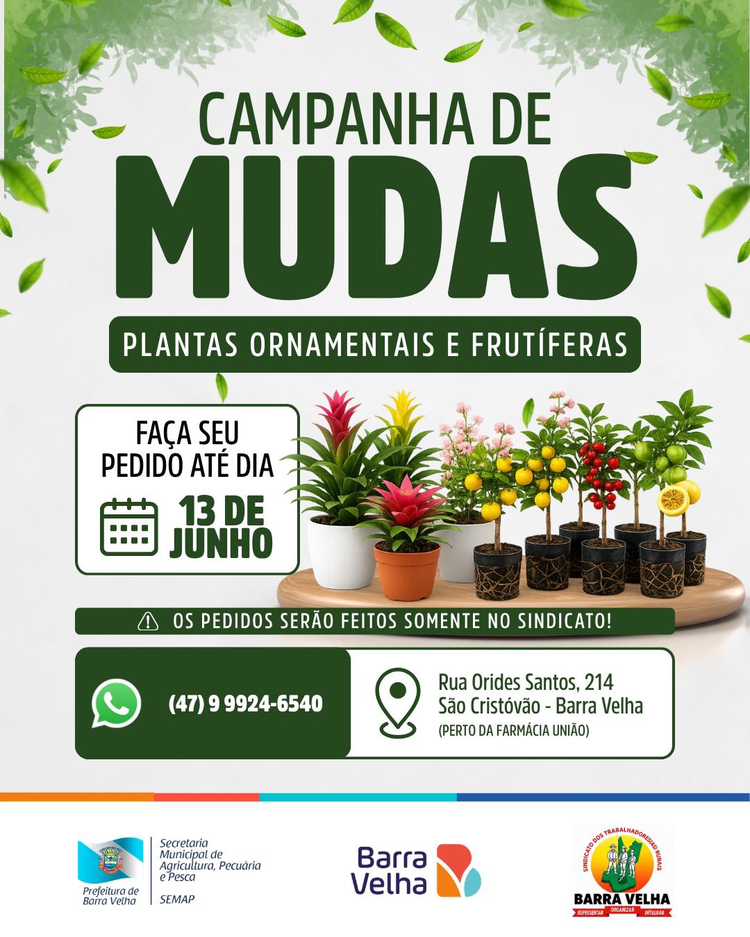 Campanha de Mudas – Plantas Ornamentais e Frutíferas