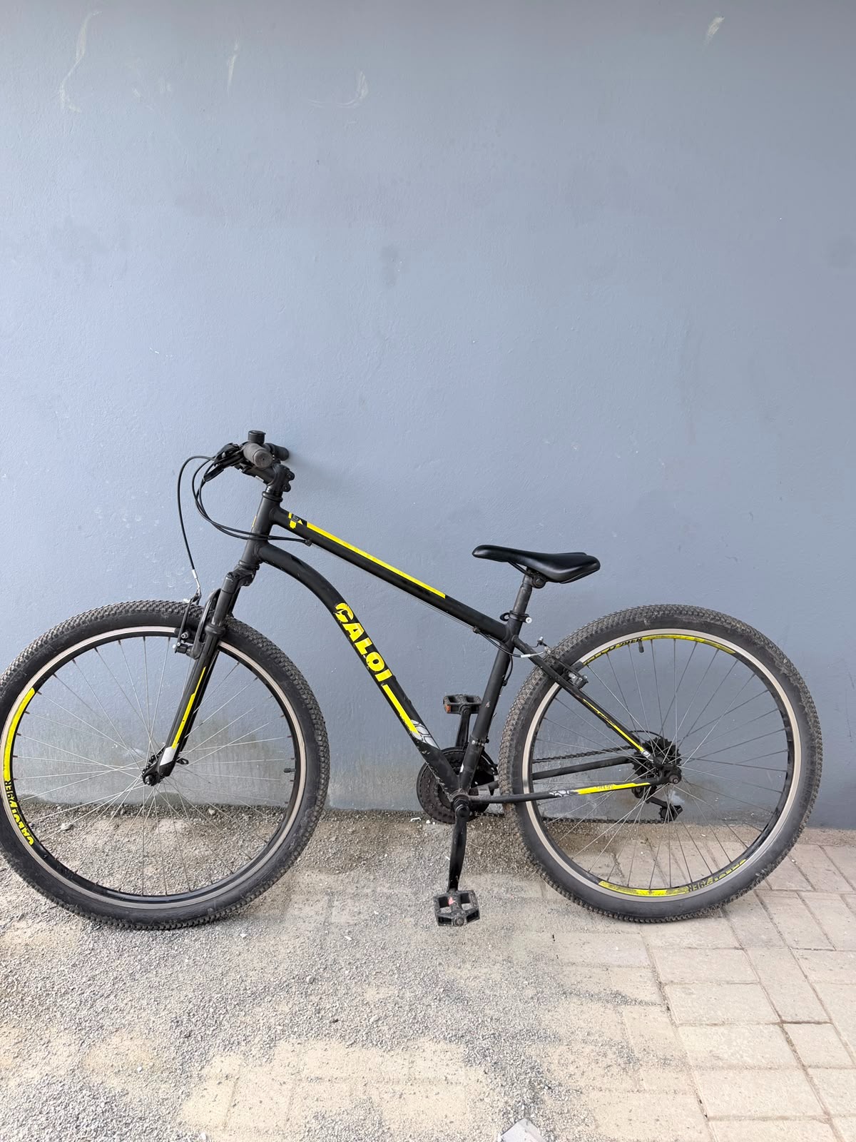 Guarda Patrimonial identifica autor de furto e recupera bicicleta da vítima