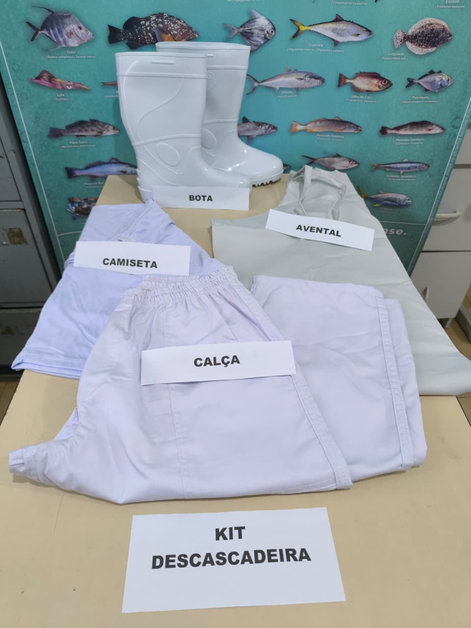 Kit Descascadeira será entregue nesta segunda-feira (18) em Penha