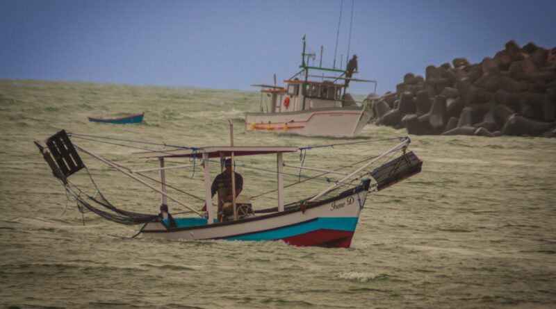 Começa a temporada de pesca do camarão em Navegantes