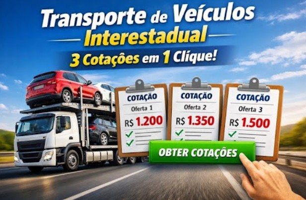 Mudança interestadual: levar o carro dirigindo ou contratar uma cegonha?