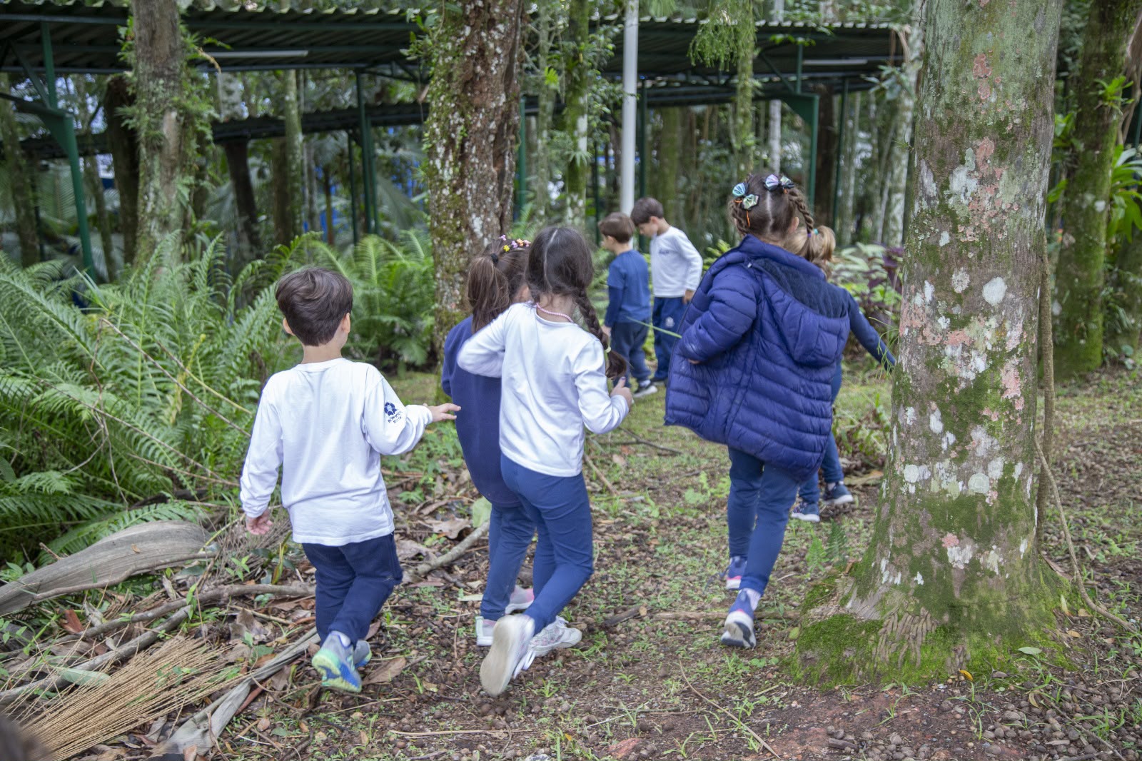Férias escolares: especialistas alertam para riscos do excesso de telas e orientam famílias sobre como criar uma rotina saudável