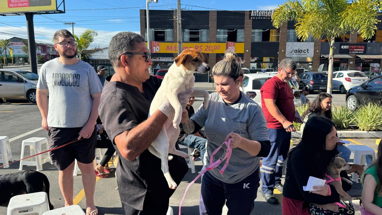 Mutirão de castração atende 241 cães e gatos em Araquari; inscrições estão abertas para nova etapa