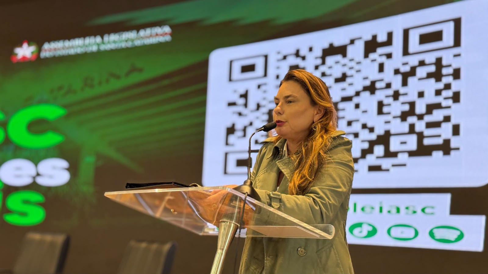 Deputada Paulinha solicita ao Governo do Estado avaliação para levar Sistema Antigranizo ao Norte de Santa Catarina