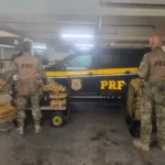 PRF apreende meia tonelada de maconha em guincho na BR-101 em Porto Belo