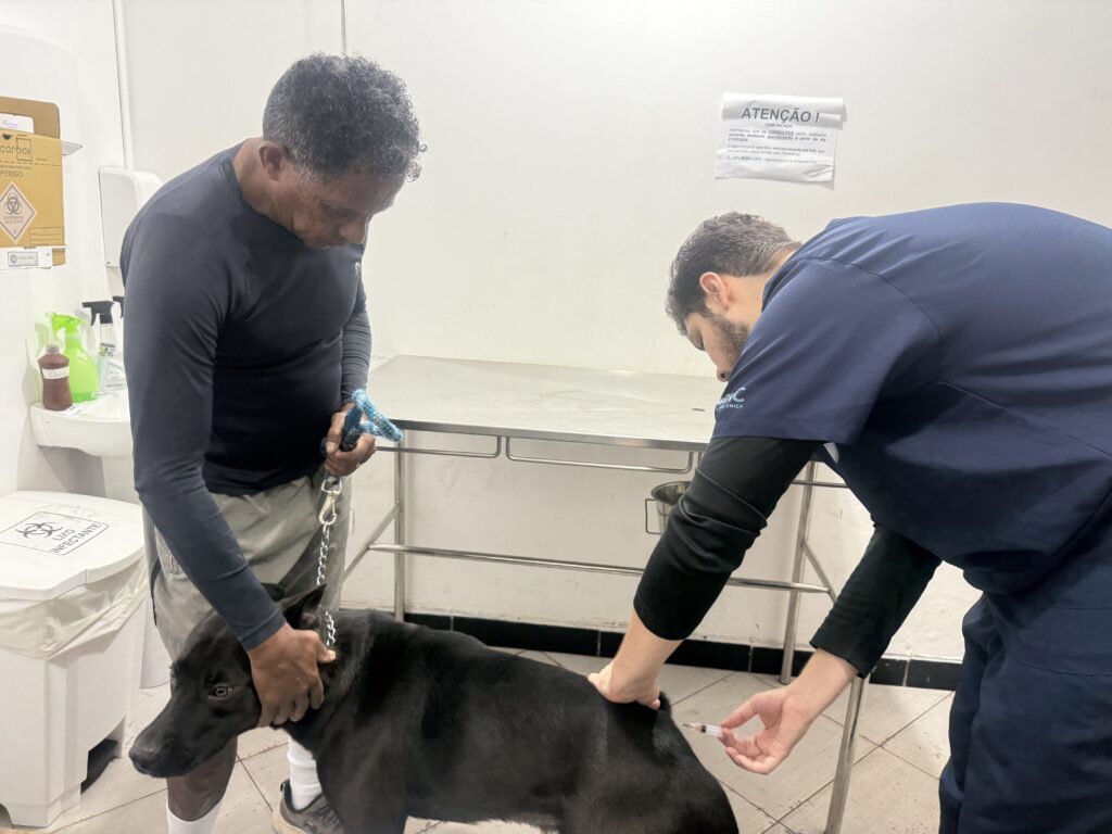 Vacinação de cães e gatos acontece nos dias 14 e 15 de outubro